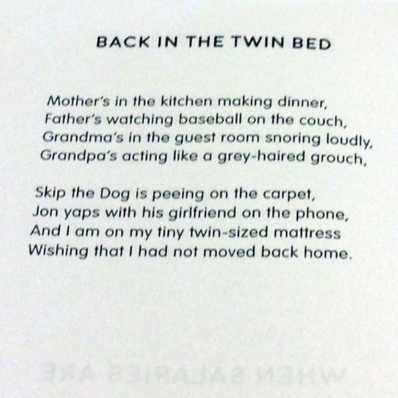 Book Sale! 3 for $10! Prose / Poetry, The Beautiful Chaos of Growing Up - Picture 6 of 9